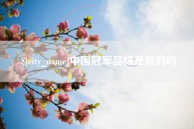 连云港中国冠军品牌是真的吗