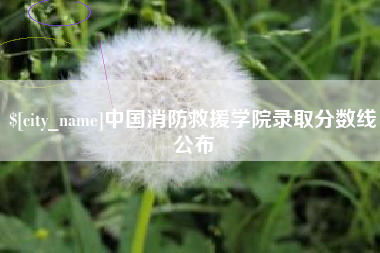 连云港中国消防救援学院录取分数线公布