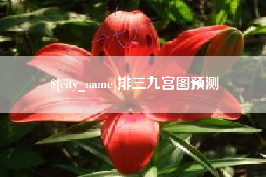 连云港排三九宫图预测