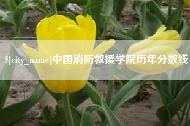 连云港中国消防救援学院历年分数线