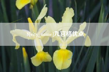 连云港九宫格优点