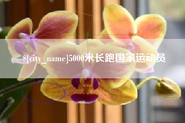连云港5000米长跑国家运动员