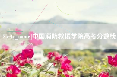 连云港中国消防救援学院高考分数线