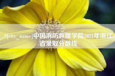连云港中国消防救援学院2021年浙江省录取分数线