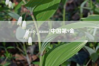 连云港中国第9金