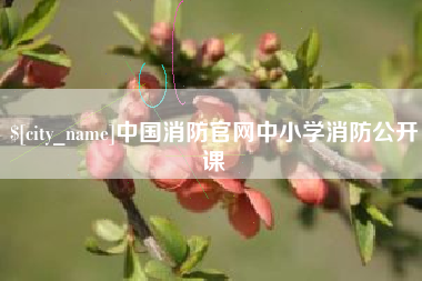 连云港中国消防官网中小学消防公开课