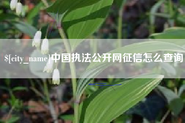 连云港中国执法公开网征信怎么查询