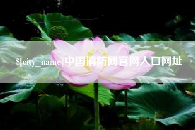 连云港中国消防网官网入口网址