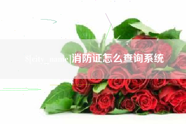 连云港消防证怎么查询系统
