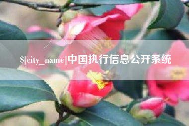 连云港中国执行信息公开系统