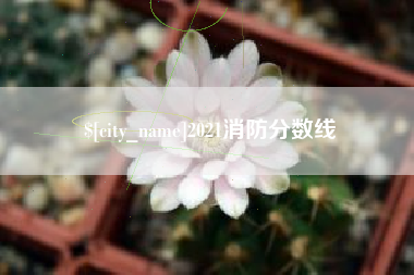 连云港2021消防分数线