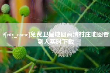 连云港免费卫星地图高清村庄地图看到人实时下载