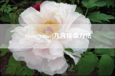 连云港九宫排盘方法
