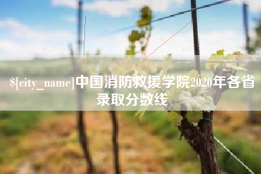 连云港中国消防救援学院2020年各省录取分数线