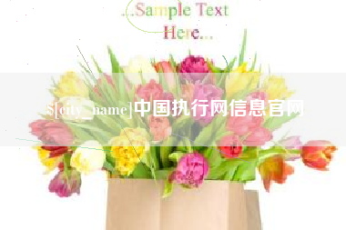 连云港中国执行网信息官网
