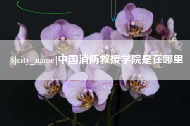连云港中国消防救援学院是在哪里