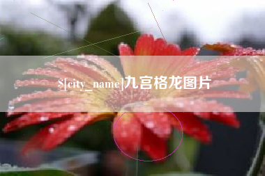 连云港九宫格龙图片