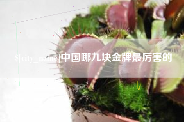 连云港中国哪九块金牌最厉害的