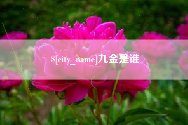 连云港九金是谁