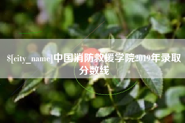 连云港中国消防救援学院2019年录取分数线