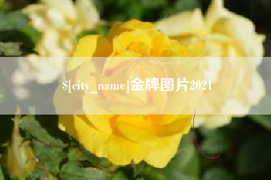 连云港金牌图片2021