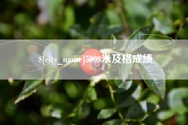 连云港5000米及格成绩