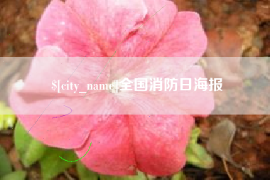连云港全国消防日海报