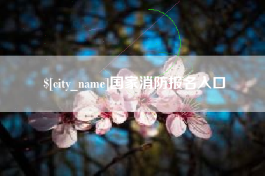 连云港国家消防报名入口