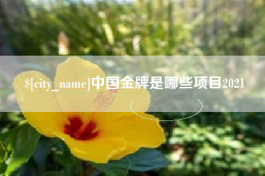 连云港中国金牌是哪些项目2021