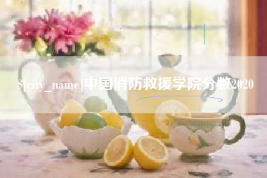 连云港中国消防救援学院分数2020