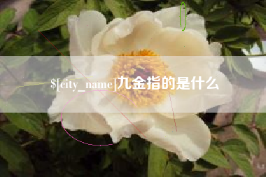 连云港九金指的是什么