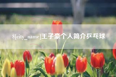 连云港王子豪个人简介乒乓球