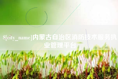 连云港内蒙古自治区消防技术服务执业管理平台