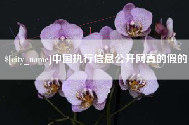 连云港中国执行信息公开网真的假的