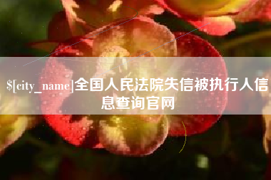 连云港全国人民法院失信被执行人信息查询官网