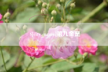 连云港第九金是