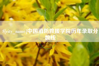 连云港中国消防救援学院历年录取分数线