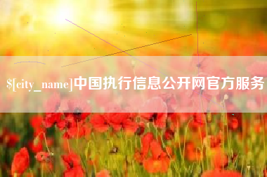 连云港中国执行信息公开网官方服务
