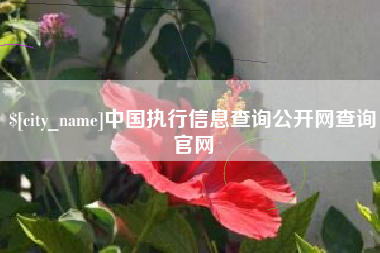 连云港中国执行信息查询公开网查询官网