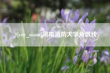 连云港河南消防大学分数线