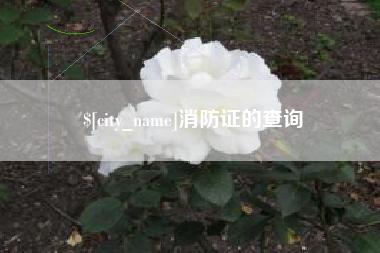 连云港消防证的查询