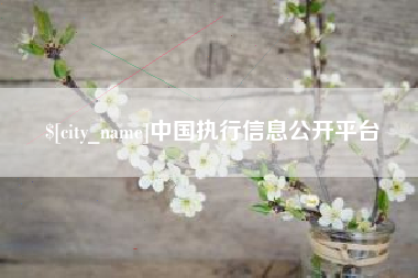 连云港中国执行信息公开平台