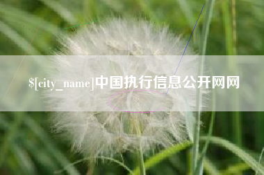 连云港中国执行信息公开网网