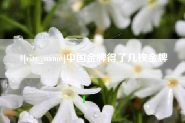 连云港中国金牌得了几枚金牌