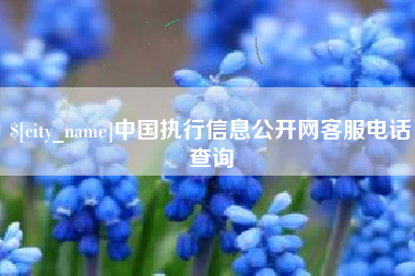 连云港中国执行信息公开网客服电话查询