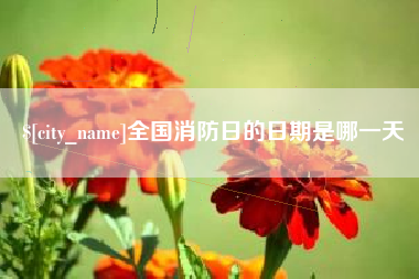连云港全国消防日的日期是哪一天