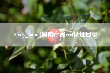 连云港消防产品cccf认证目录