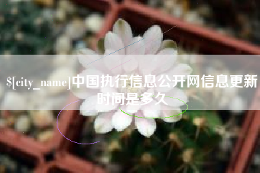 连云港中国执行信息公开网信息更新时间是多久