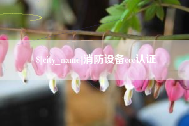 连云港消防设备ccc认证