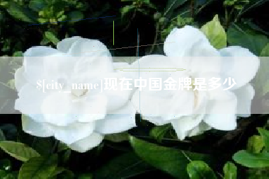 连云港现在中国金牌是多少